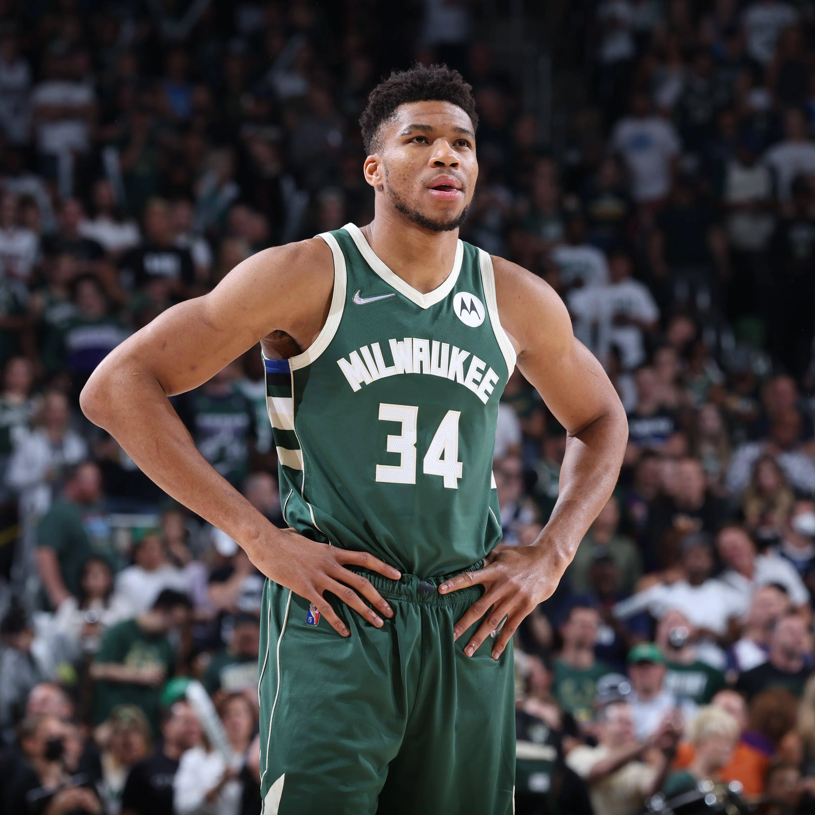 可以砍下场, amp