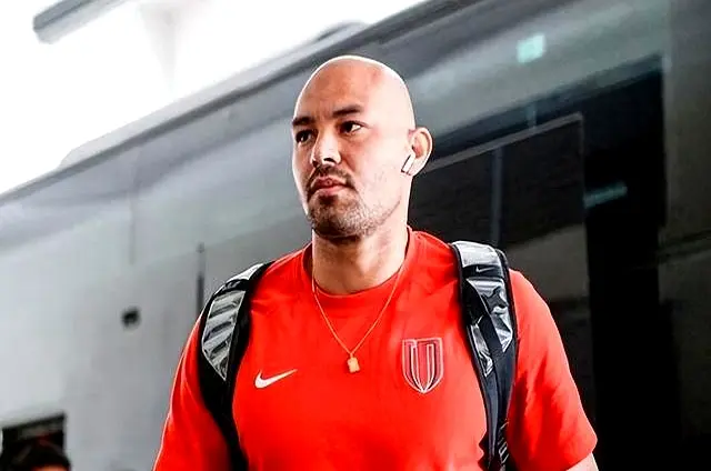 形成了鲜明, 压力就如同, alt 形成了鲜明, 压力就如同, alt