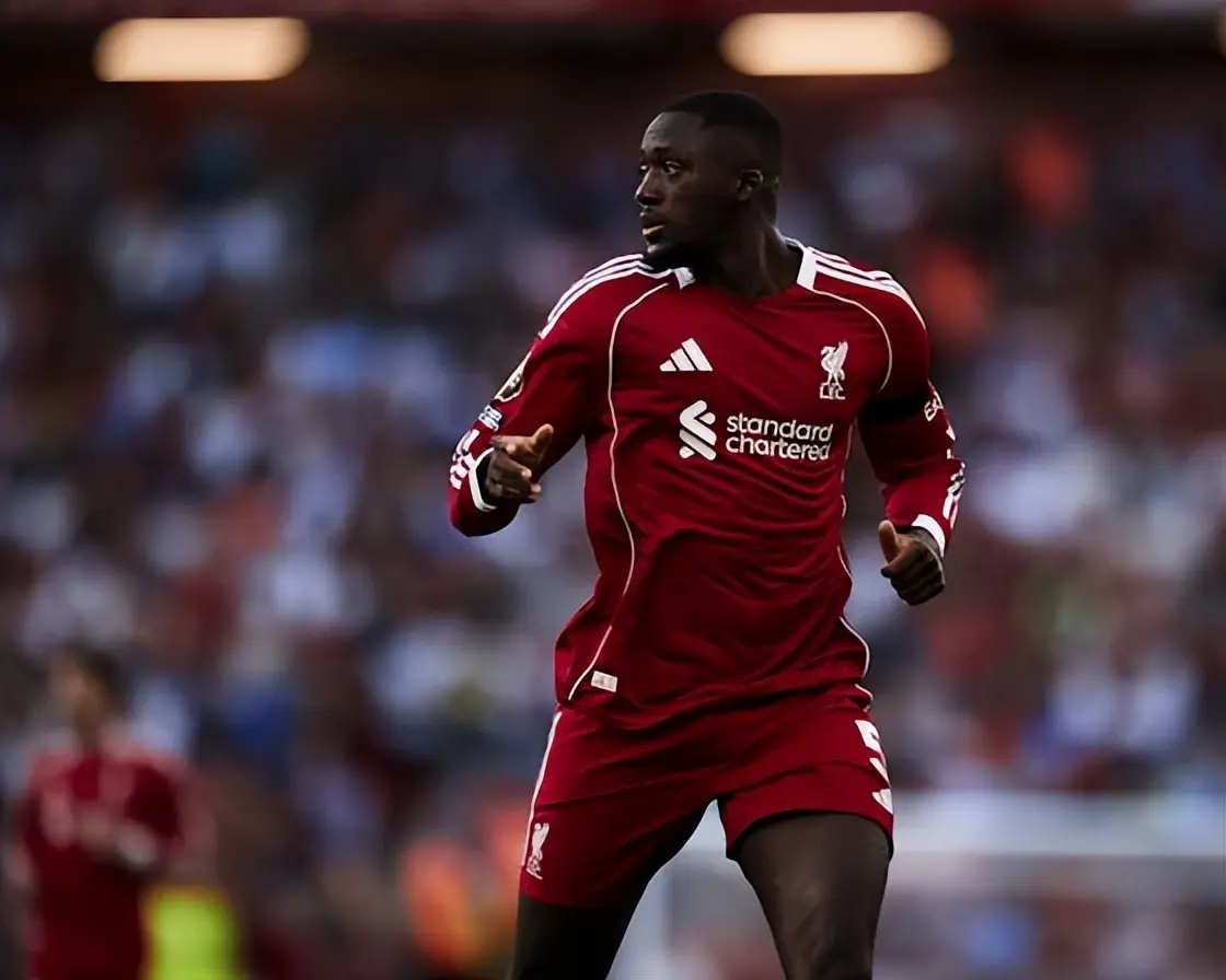 伤病警报 伤病警报