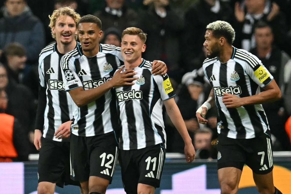 场比赛取得 场比赛取得